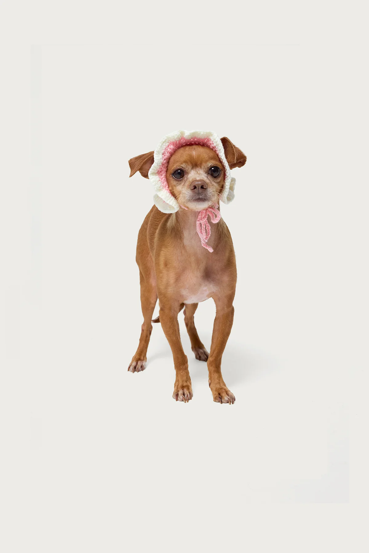 Petal Pet Crochet Hat - Image 3
