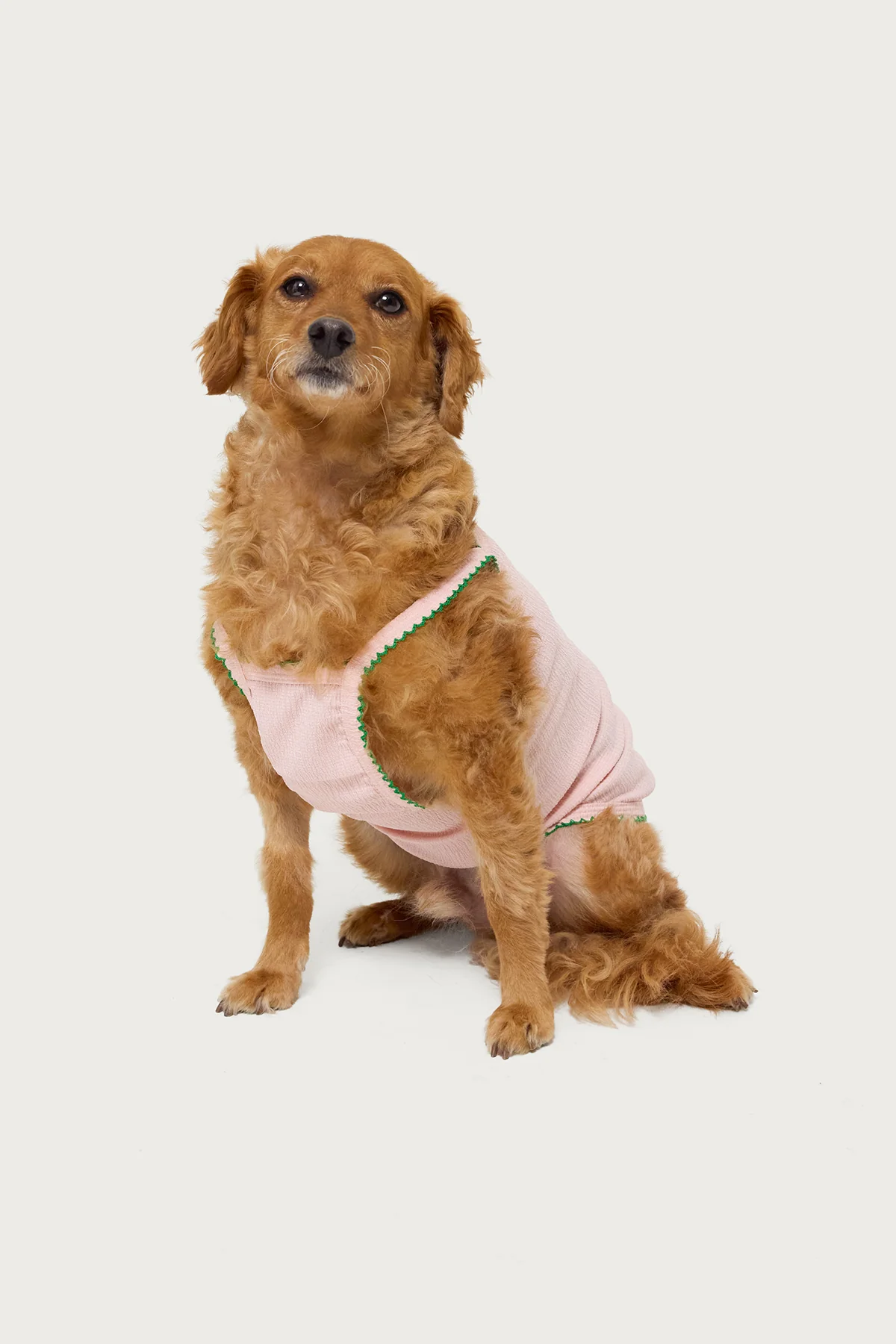 In The Tropics Pet Tank Top - Image 4