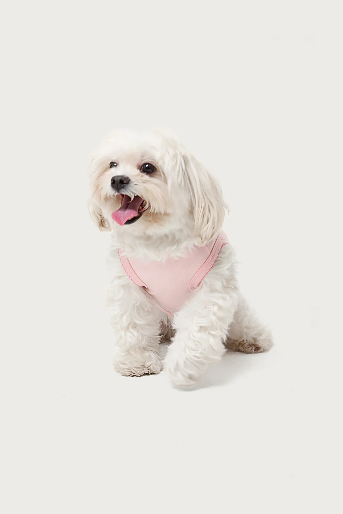 Pawfect Pet Tank Top - Image 3