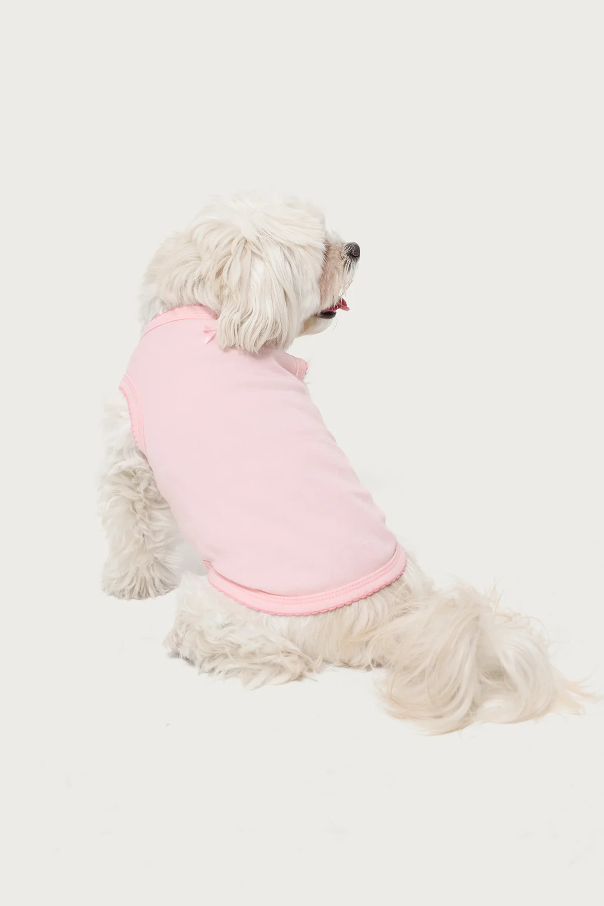 Pawfect Pet Tank Top - Image 4