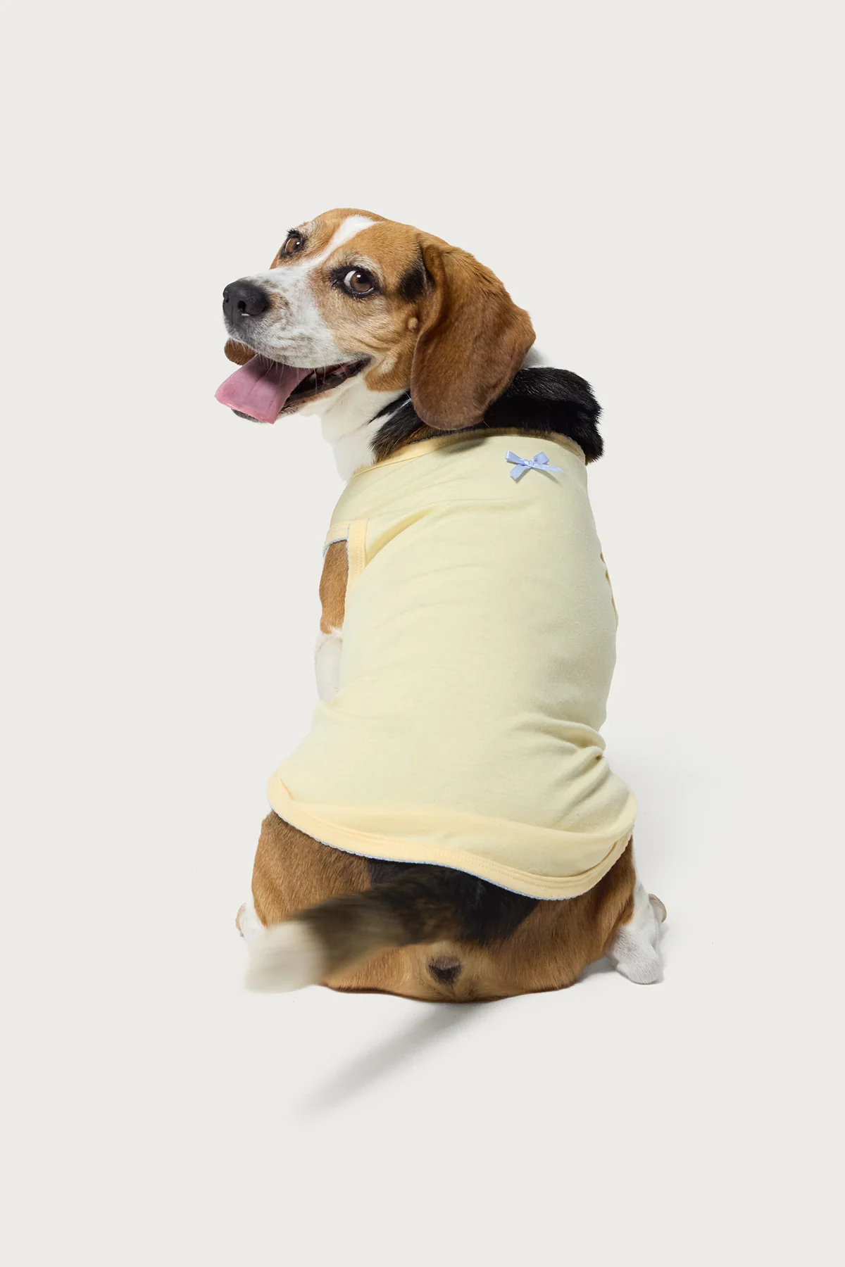 Pawfect Pet Tank Top - Image 2