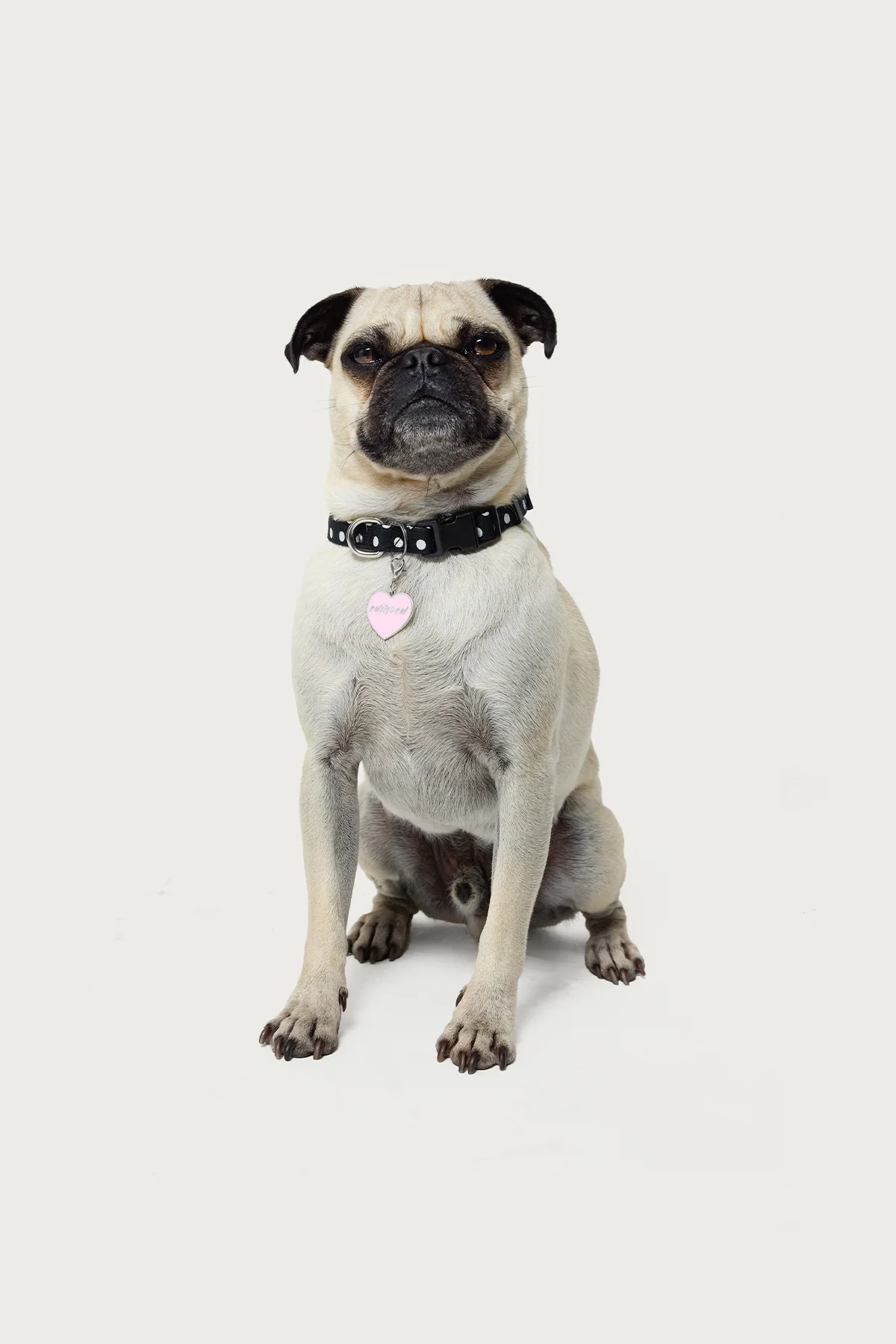 Heart Throb Collar Charm - Image 2