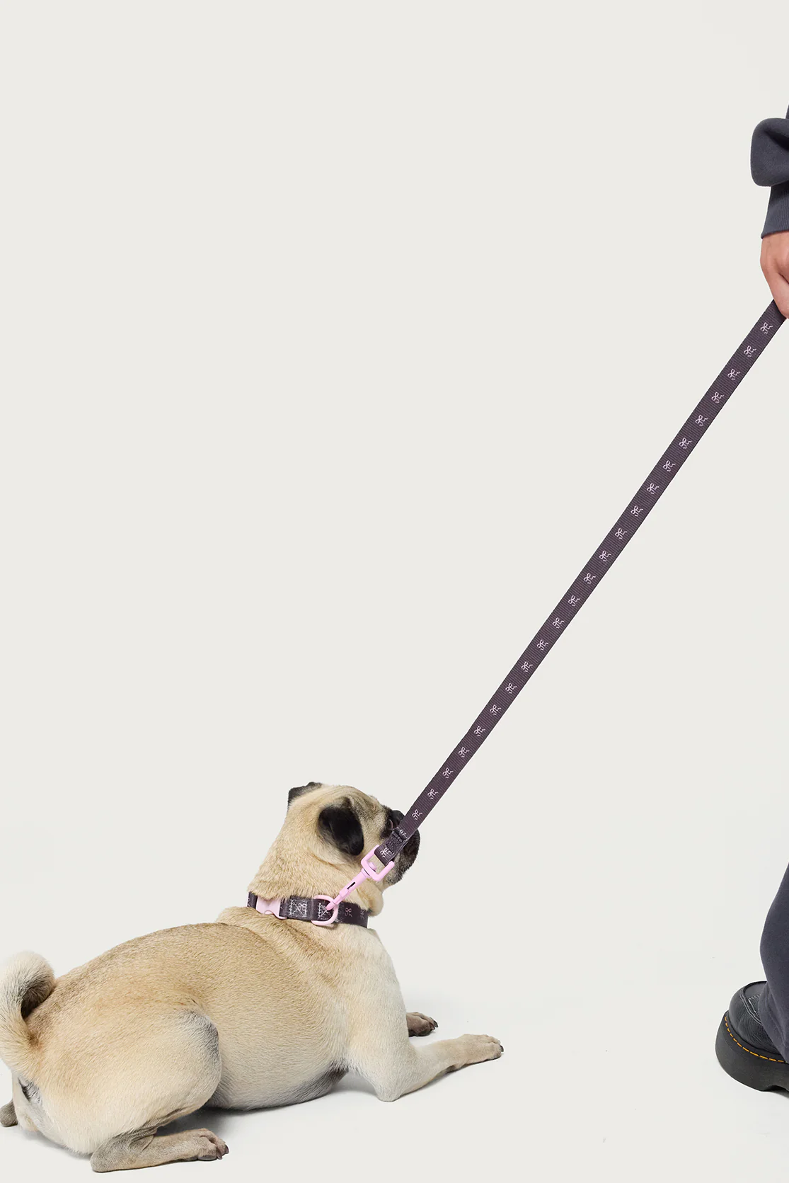 Bonney Bow Pet Leash - Image 2