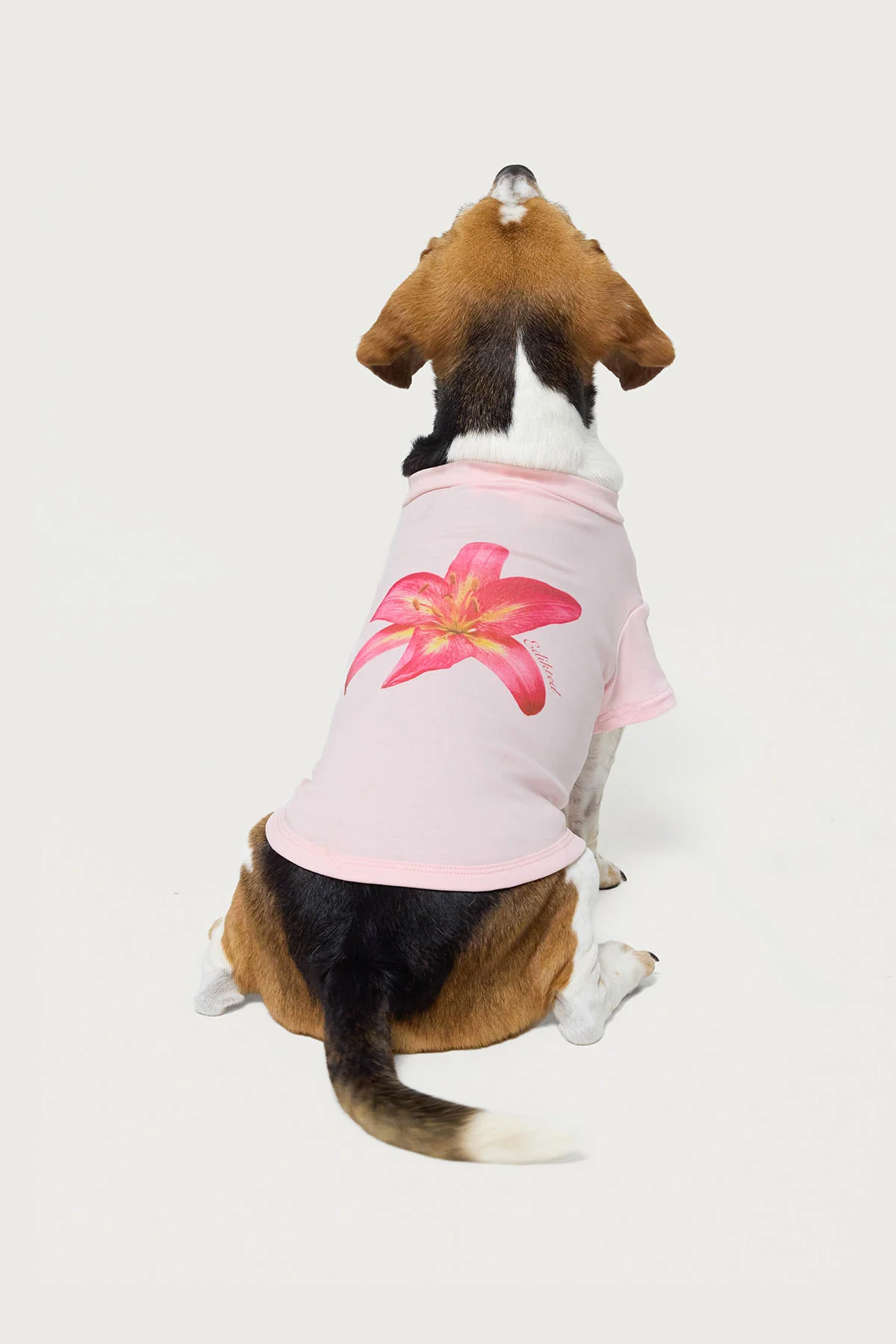 Daylily Pet T Shirt - Image 4