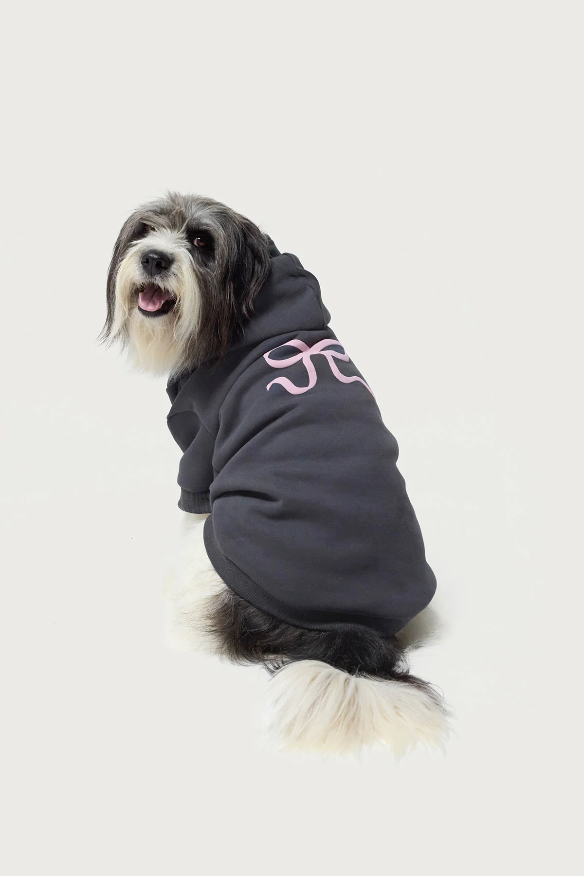 Bonney Bow Pet Hoodie - Image 2