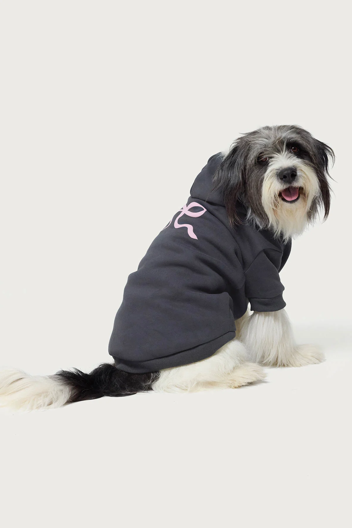 Bonney Bow Pet Hoodie - Image 5