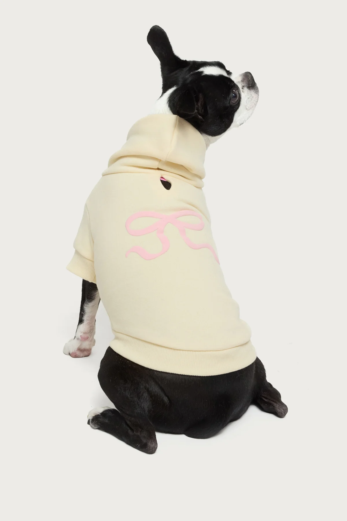 Bonney Bow Pet Hoodie - Image 2