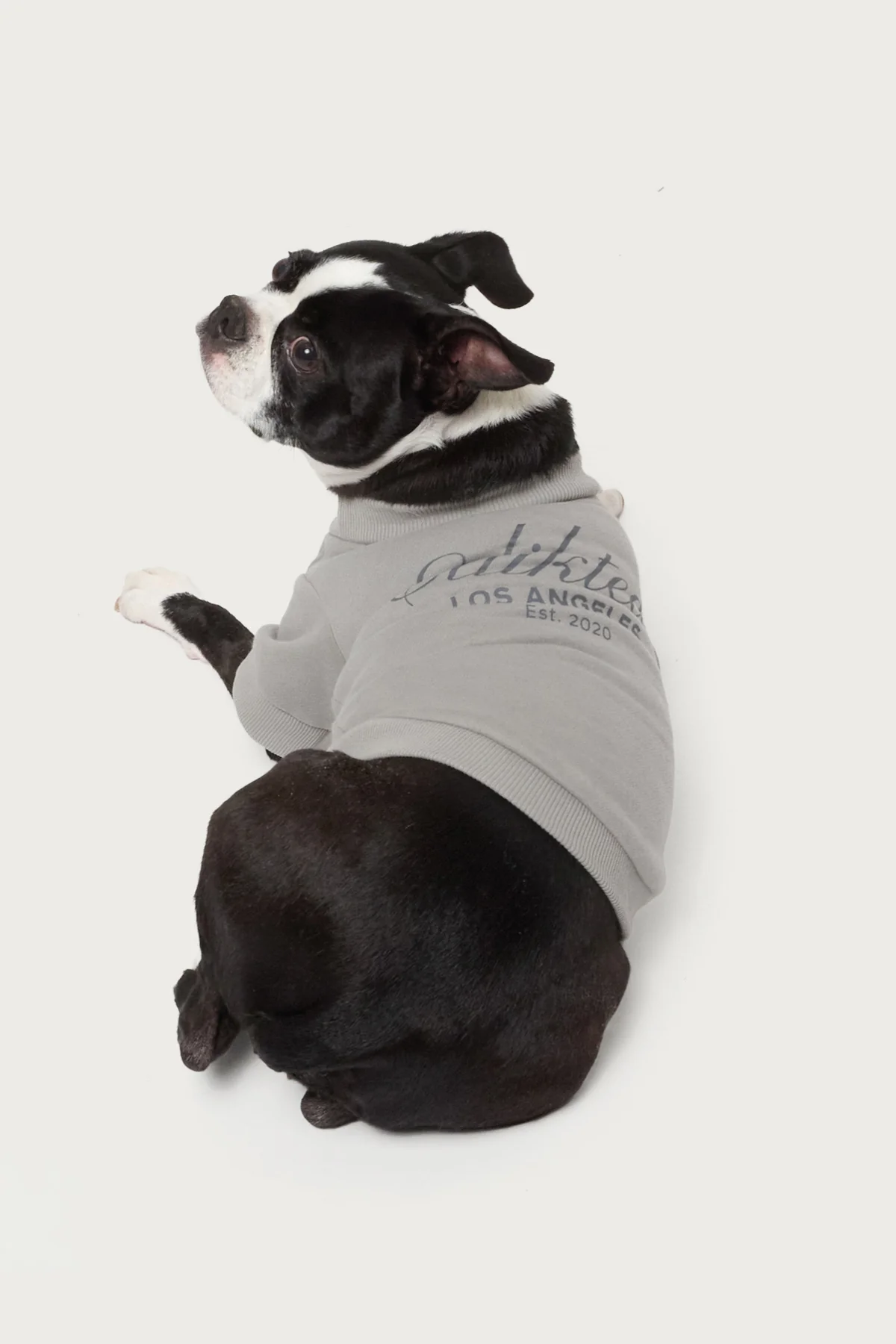 Get Edikted Pet Sweatshirt - Image 3