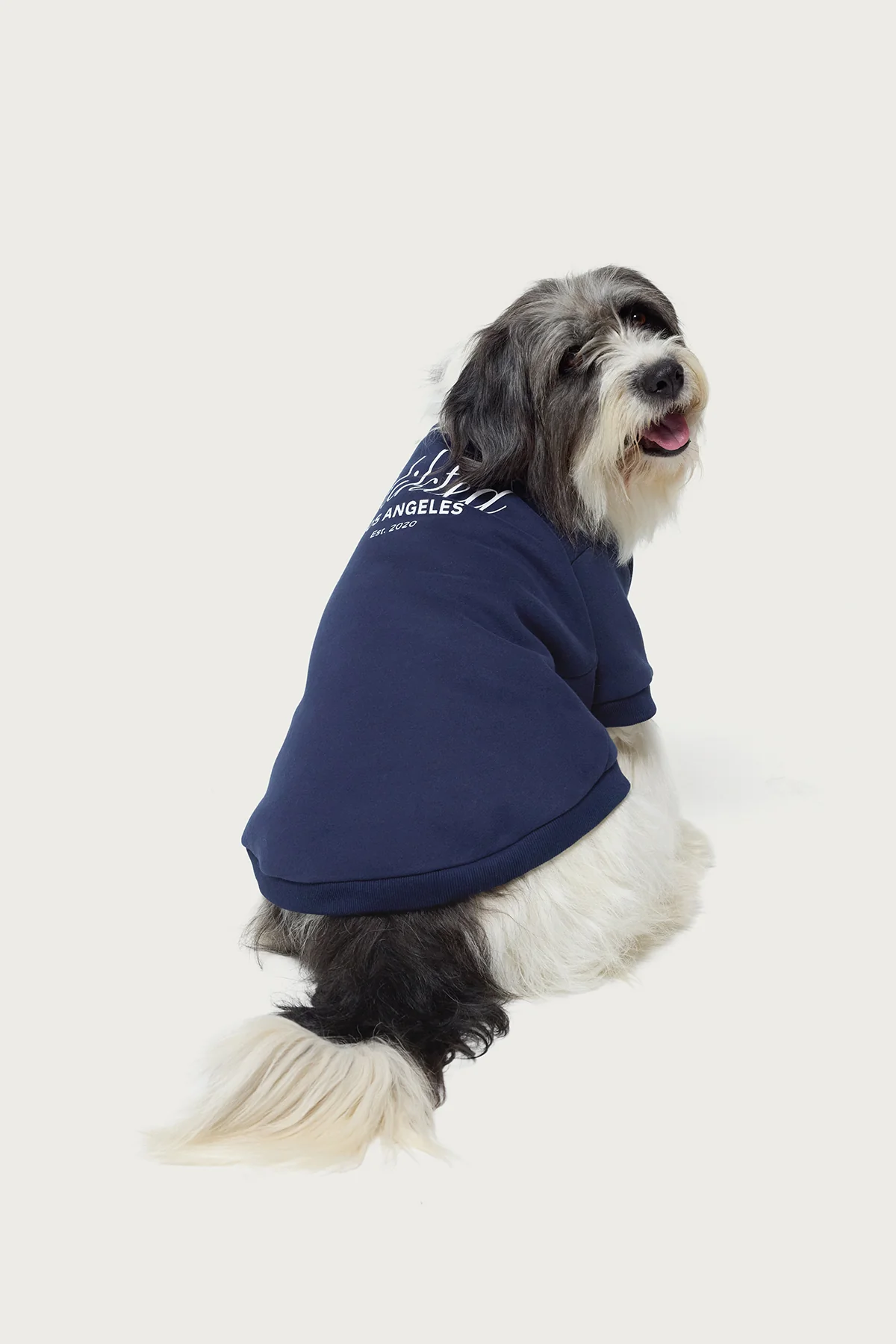Get Edikted Pet Sweatshirt - Image 3