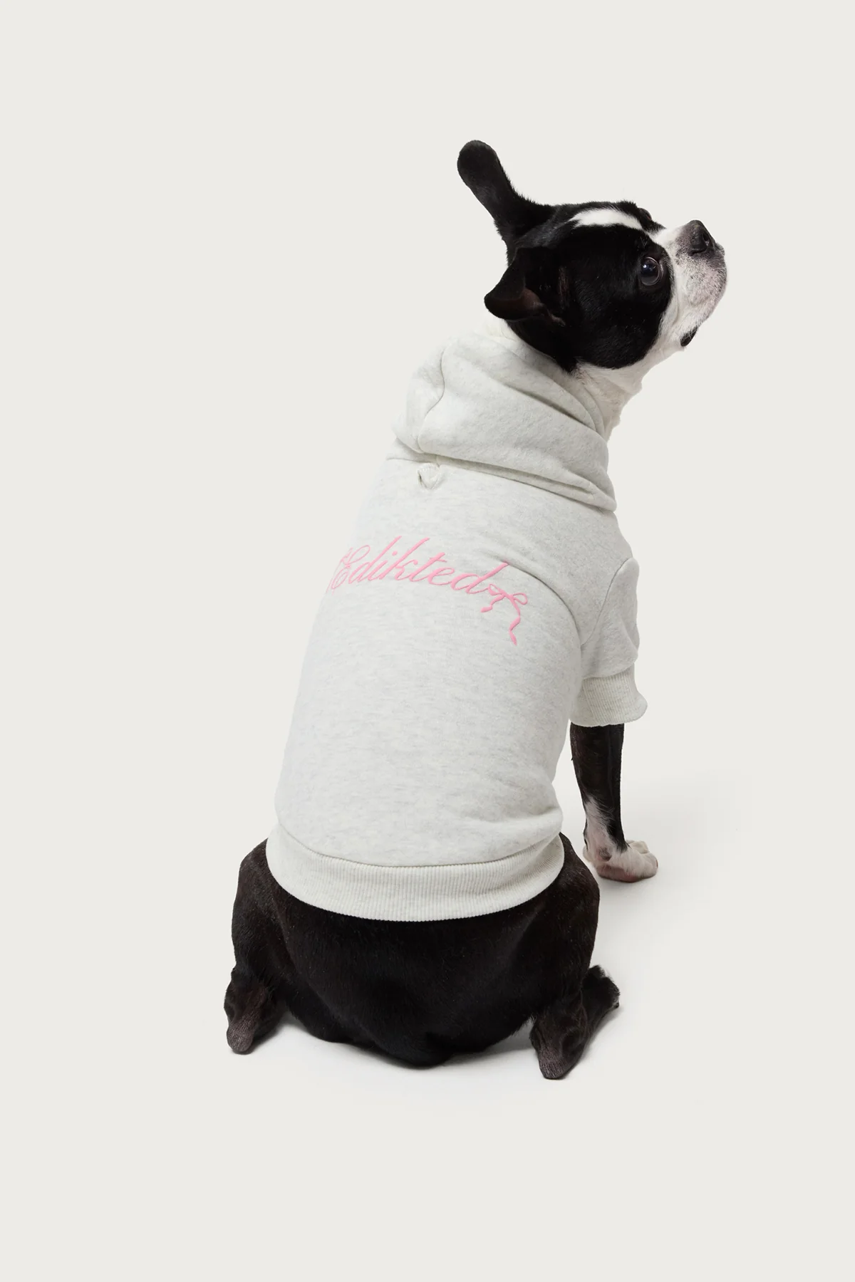 Sasha Bow Detail Pet Hoodie - Image 3