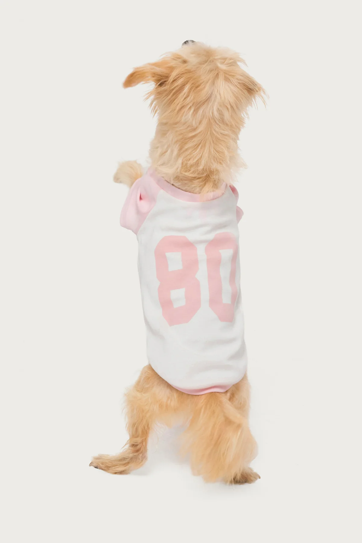 80's Raglan Pet T Shirt - Image 2