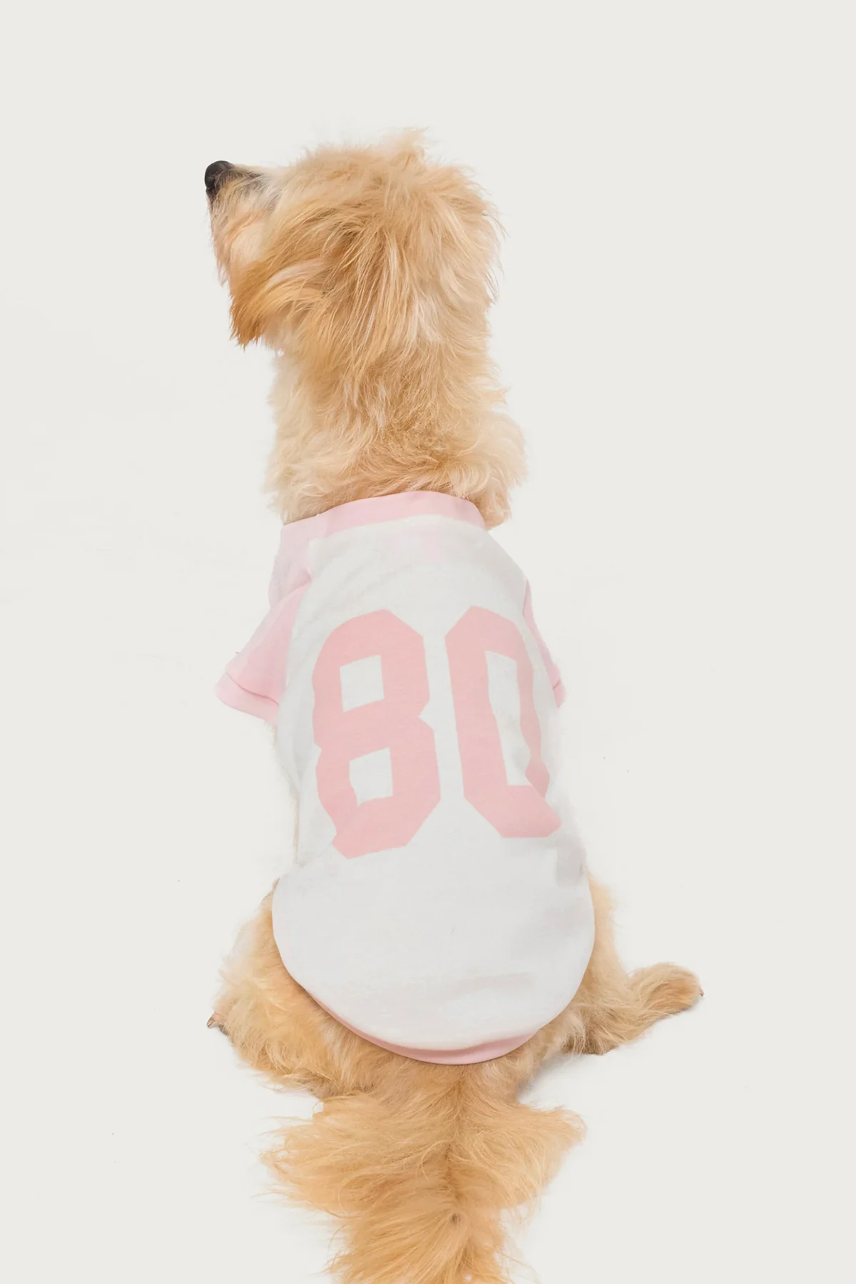 80's Raglan Pet T Shirt - Image 3