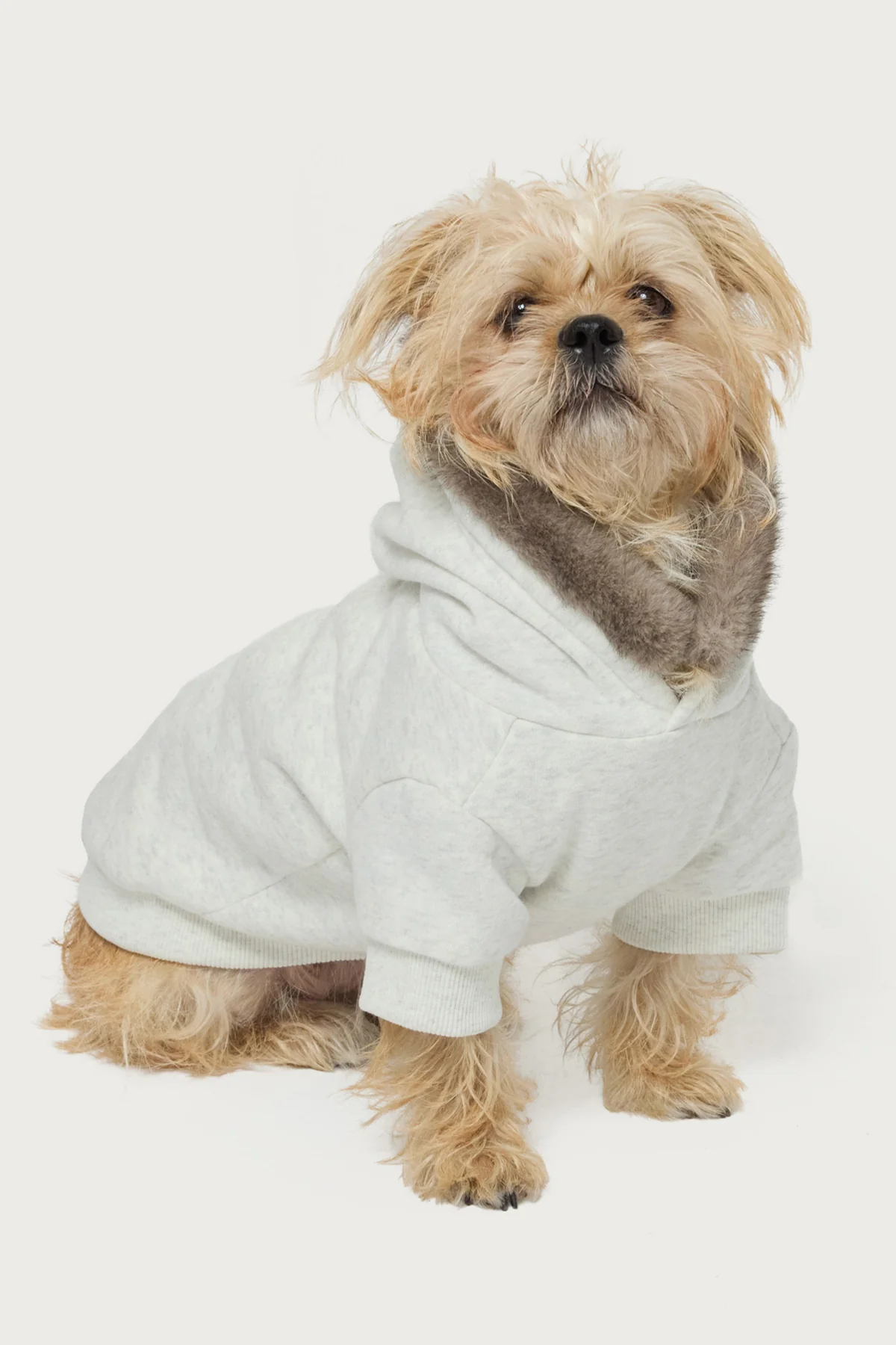 Faux Furry Pet Hoodie - Image 2