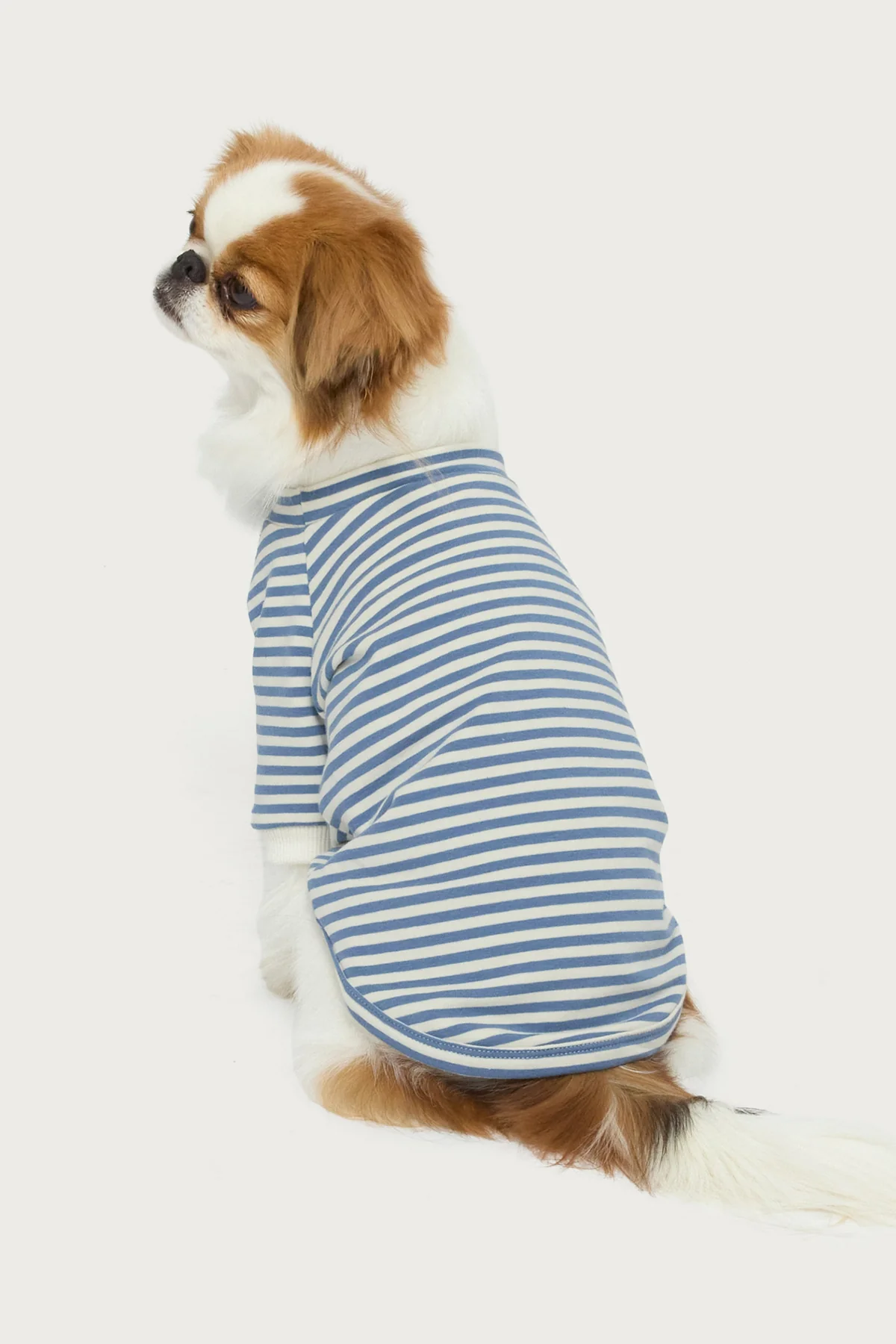 Lilah Striped Pet T Shirt - Image 2