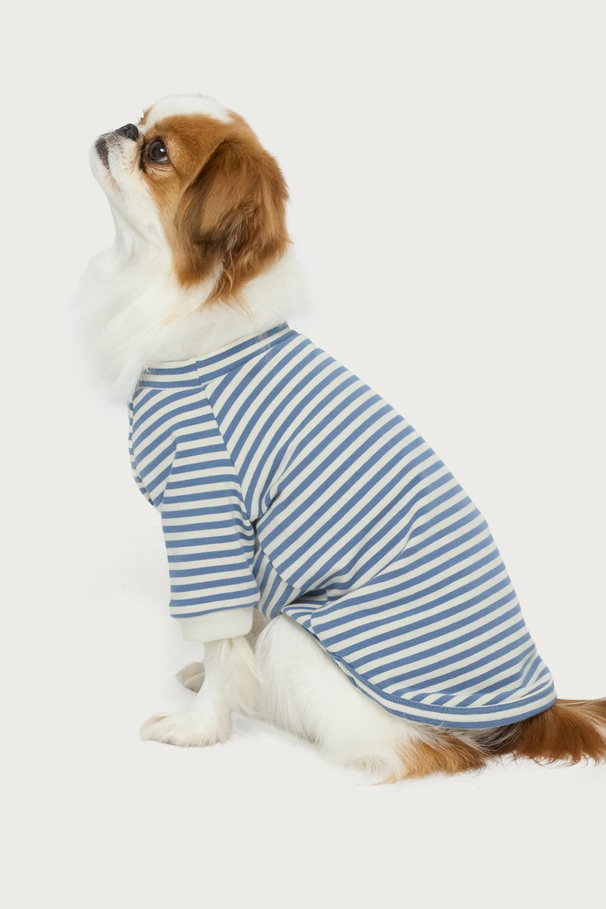 Lilah Striped Pet T Shirt - Image 4